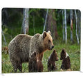 10x8 Trade Show Event Booth Portable Backdrop Display Stand Tension Fabric Backdrop