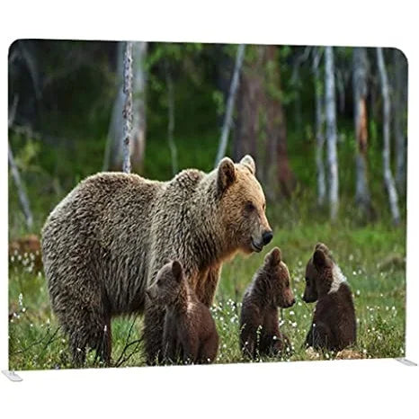 10x8 Trade Show Event Booth Portable Backdrop Display Stand Tension Fabric Backdrop