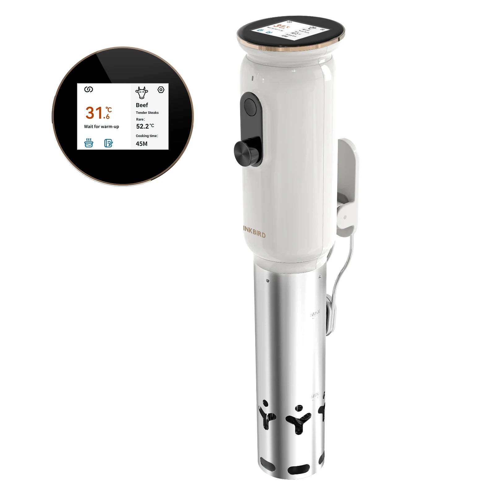 Manufacturer Sous Vide Slow Cooking Machine With TFT Screen ISV-101W Wholesale Stainless Steel Slow Cooker Slow Steak Cooker