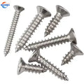 Stainless Steel 304/316/410 Self Tapping Screws Zinc 8.8/10.9/12.9 Factory Price Customized National Standard Metric Black