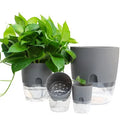 Hot Selling Double Layer Transparent Automatic Self Watering Flower Plants Pot Plant Pot Self Watering