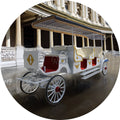 2024 Victorian Wedding Horse Carriage Park Sightseeing Tour Horse Carriage Tourist Special Transportation