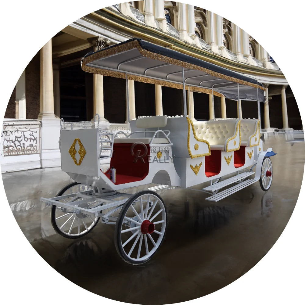 2024 Victorian Wedding Horse Carriage Park Sightseeing Tour Horse Carriage Tourist Special Transportation