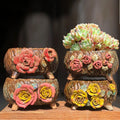 Korean Style Large Diameter Pottery Succulent Pots Garden Decoration