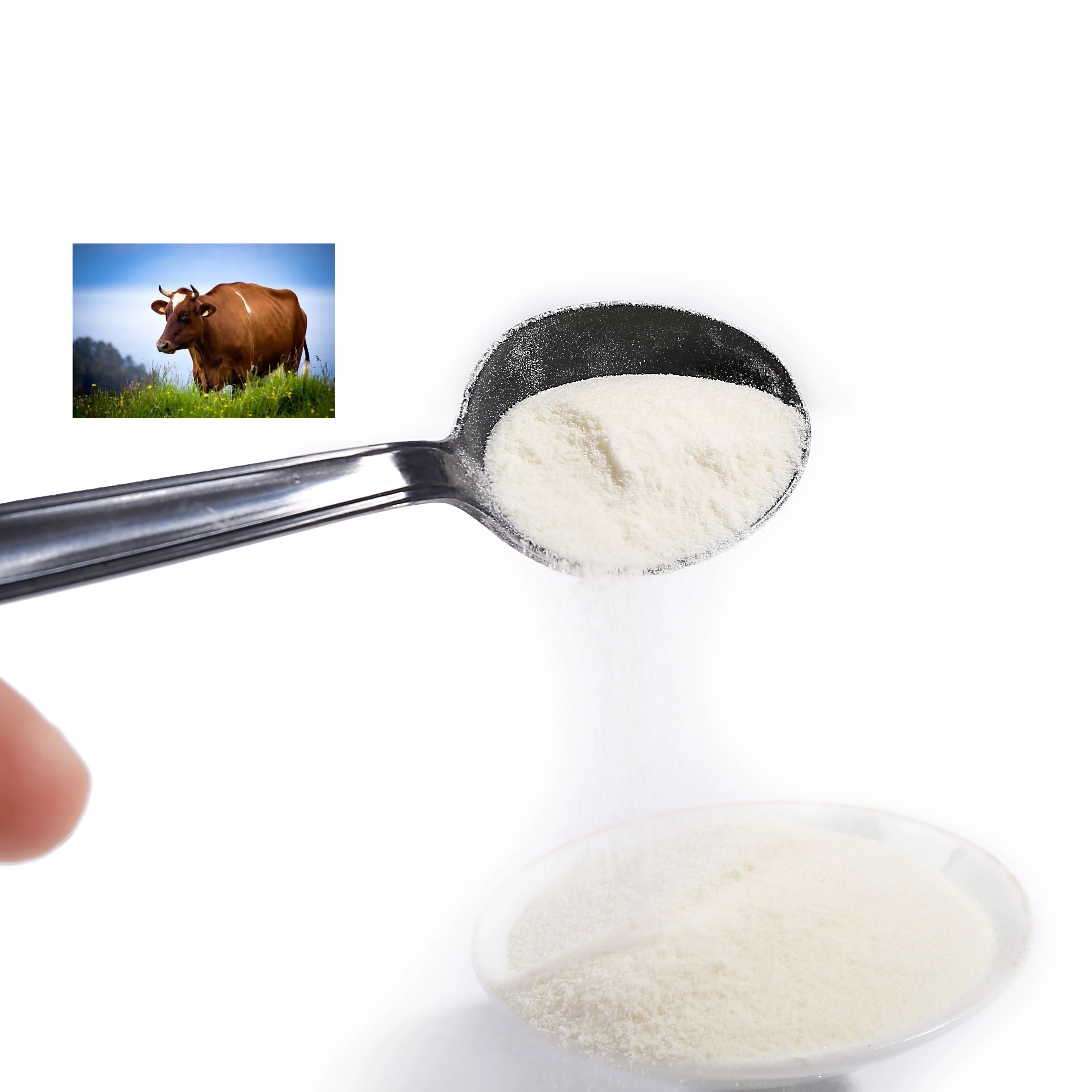 Wholesale Protein Powder Drink Peptides Hydrolyzed Bovine Collagen