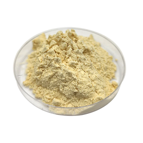 Agar Agar Food Grade Factory Supply High Quality