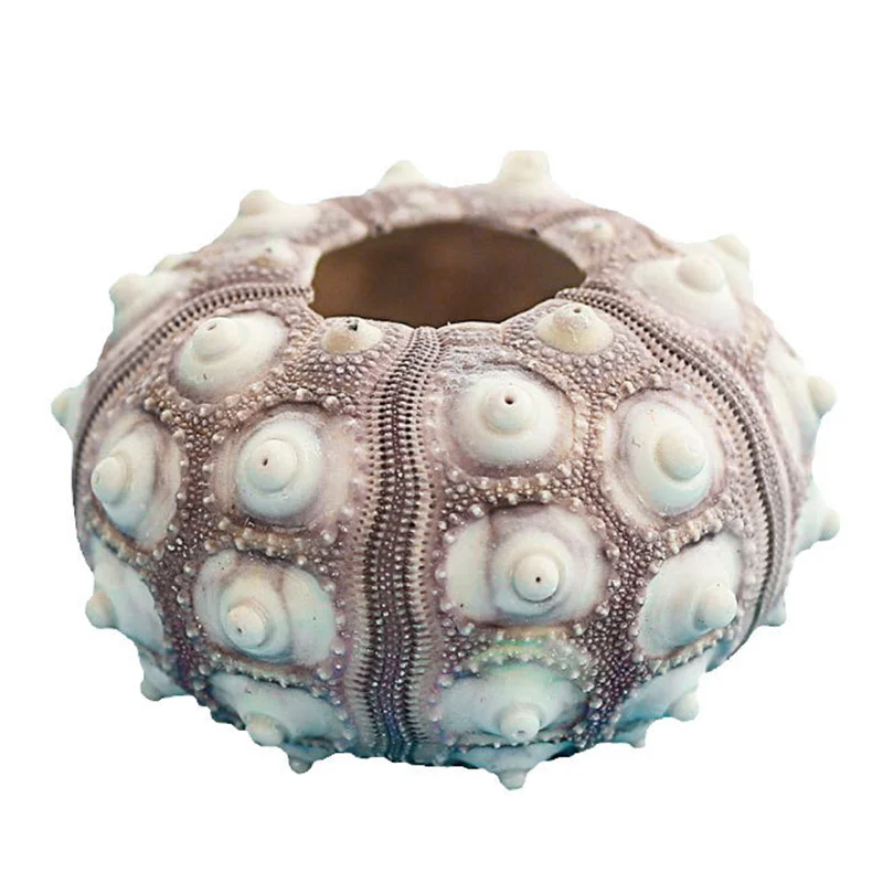 Delicate Art Deco Design Unique Natural Sea Urchin Shells Pineapple Pattern Glass & Crystal Tabletop Vase