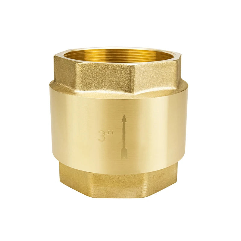 TMOK 3 Inch DN80 BSP Female Threads Non Return Brass Spring Check Valvefor Water Pump Pipeline