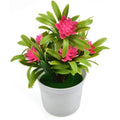 Artificial Plastic Lotus Flower Potted Bonsai Desktop Plants Home Ornament Home Room Table Office Decoration