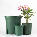 Wholesale Second-Generation Thickened Balcony Green Ivy Planter Round Controlled Roots Plastic Gallon Flowerpot