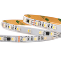 TM1814 TM1824 RGBW 24V Dream Color LED Strip 3-Year Warranty SM16704 60 LEDs/m RGBIC RGBWIC Addressable Pixel Strip IP65