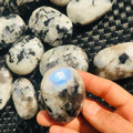 Wholesale Natural Crafts Crystal Stone Healing Rainbow Moonstone Palm Stone for Home Decoration