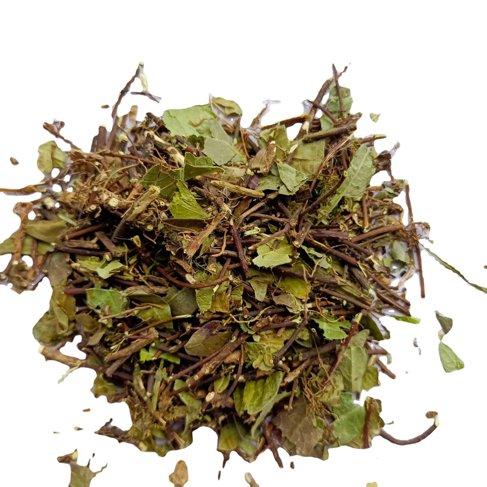 Luo Shi Teng Trachlospermi Caulis Et Folium Trachelospermum Jasminoides Stems Leaves Slices for Herb