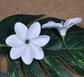 Factory Supplier KN-hf039 1color 10cm Eva Foam Hair Pick W Black Shell Pearl Artificial Hawaii Dance Party Decorative Flower