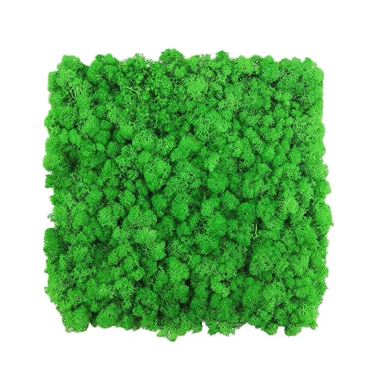 Wholesale Factory Directly Supply Preserved Moss 30*30cm  3cm Thick Preserved Moss Panel Reindeer Moss for Wall Decor