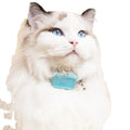 Smart Pet Anti-lost Collar Artifact Intelligent Pet Finder Alarm Cat Dog Tracker ANDROID and IOS 4*13.4 Inch
