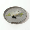 DXC Factory Wholesale Grey Nordic Hotel Porcelain Round Catering Serving Plate Dish Ceramic Dinner Side Plates for Restaurant