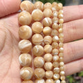 Factory Price AsVrai U Natural Sea Shell White Round Loose Spacer Beads Jewelry Making DIY Bracelet Necklace Handmade China
