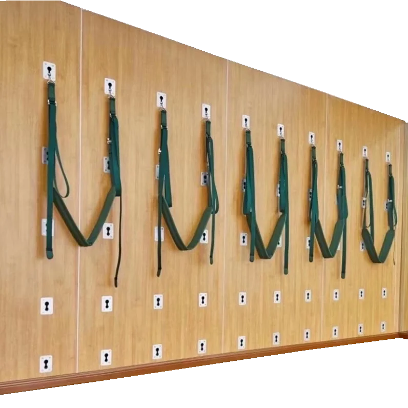 Yoga Wall Installation Accessories Yoga Wall System Pelvic Swing Belts Pilates Wall Mounted Unit with Panel