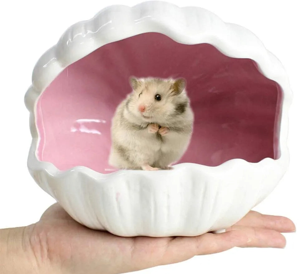 Shell Shape Ceramic Hamster Summer House Mini Cool Hideout Hut Sleeping Bed Nest for Little Animals