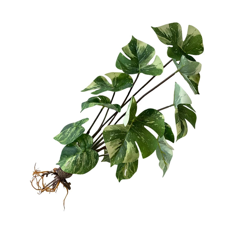 Super Quality Artificial Indoor Plants 12 Turtle Straps for Decoration