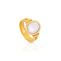 Chris April Stylish Jewelry in Stock PVD Gold Plated 316L Stainless Steel Water Proof Oval Shell Signet Ring