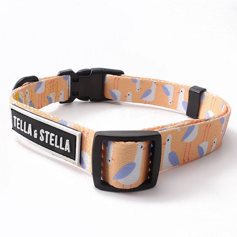 Luxury Adjustable Training Dog Collar Custom PVC Label Webbing Strap with Breakaway Feature Dog Clip Made From Durable Polyester