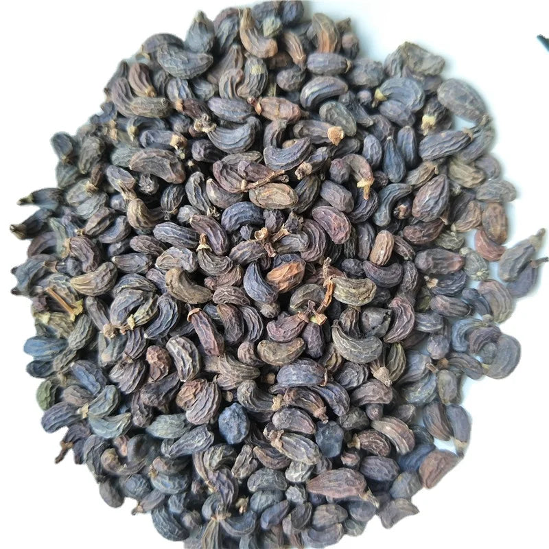 Dried Nautral Ligustrum Lucidum Fruits Raw Glossy Privet Fruit Fructus Ligustri Lucidi for Sale