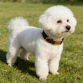 Petkaa in Stock Popular Luxury Dog Collar and Leash Sets Brown Velvet Harness Dog Accessories Custom Logo Personal in Stock MegaBDM