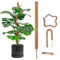 Wholesale Coconut Fiber & Aluminum Wire Flexible Plant Support Moss Poles for Climbing Plants Garden Supplies