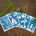 Direct Factory Sale DIY Cyanotype Kit Creative Art Set for Kids Decorative Stickers Gift