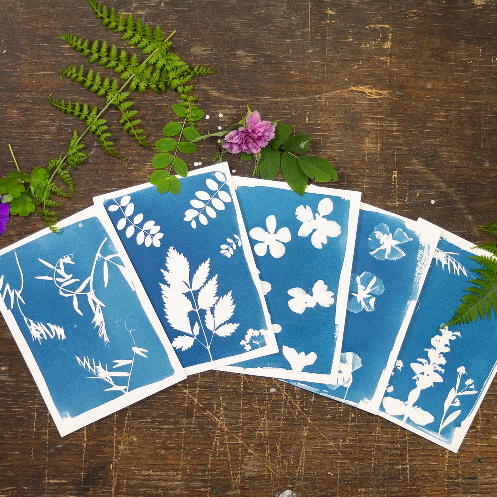 Direct Factory Sale DIY Cyanotype Kit Creative Art Set for Kids Decorative Stickers Gift