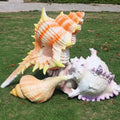 Ocean Theme Photographic Props Giant Fiberglass Seahorse Turtle Sculpture Resin Seaweed Coral Starfish Props for Beach