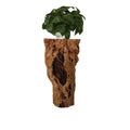 Wholesale Solid Wood Root Carving Natural Tree Stump Shelf Living Room Bonsai Rack