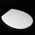 European Standard Luxury Sanitary Ware O Shape Toilet Seat Soft Close Quick Release Hinges Slim UF Toilet Seat Cover