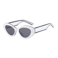 DOISYER Women's Fashion Sun Glasses Trendy Cat Eye Designer Sunglasses with UV400 Protection and Custom Logo PC Frame