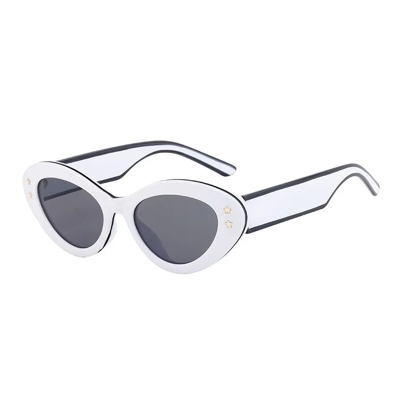 DOISYER Women's Fashion Sun Glasses Trendy Cat Eye Designer Sunglasses with UV400 Protection and Custom Logo PC Frame