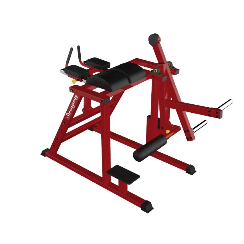 Sports Equipment/machine Gym /Reverse Hyper Extention