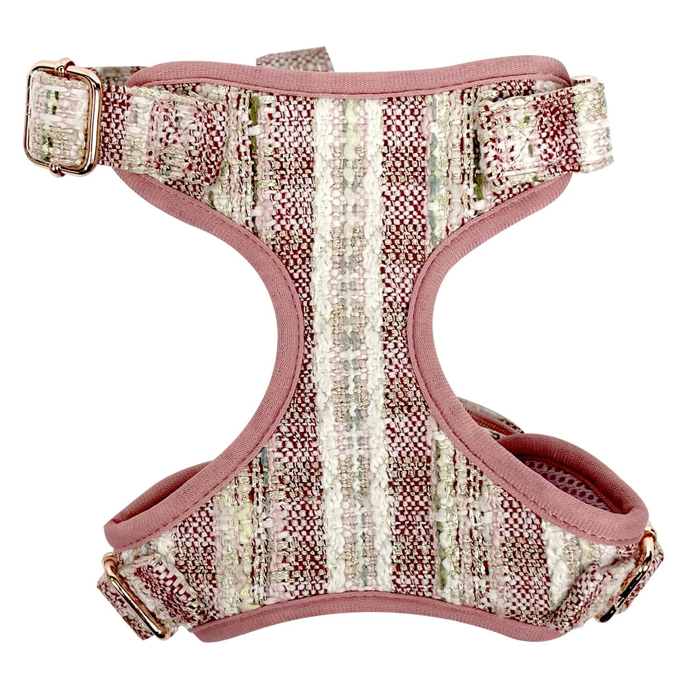 Factory Customized Pet Dog Breathable Vest Collar Adjustable Pet Supplies Pet 5 Pieces Set