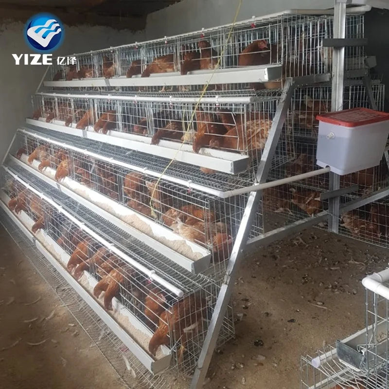 Large Hen House Chicken Cage Portable Chicken Coop Poultry Farm Equipment for Sale Cage