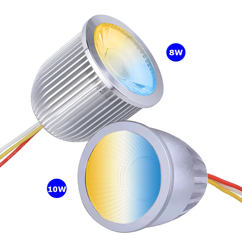 Benory 24V Dali Spot Light CRI95 38/60D 2000-6000K Tunable White Mr16 Spot Connect MDT KNX Loxone Tree PWM Tuya Hager Control4