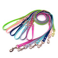 Wholesales Durable Heavy Duty Fashion PVC Lead Colorful Waterproof PET Training Dog Leash With Metal Buckle