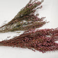 Hot Selling Eco-friendly Forever Flowers Heather Preserved Dried Flower for Wedding Flower Arrangement Beautiful Decorative