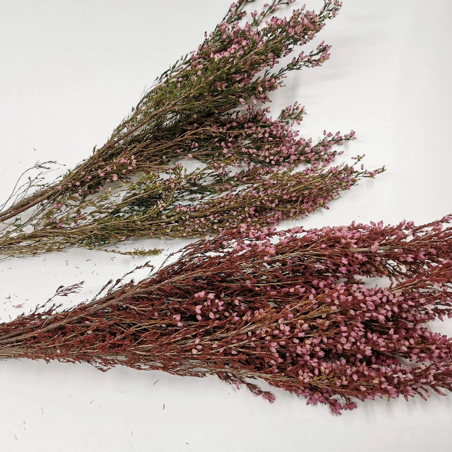 Hot Selling Eco-friendly Forever Flowers Heather Preserved Dried Flower for Wedding Flower Arrangement Beautiful Decorative