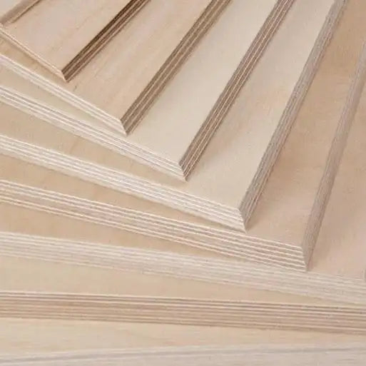 Birch Veneered 18mm Poplar/Eucalyptus Core Plywood UV Coading Plywood for Furniture/construction