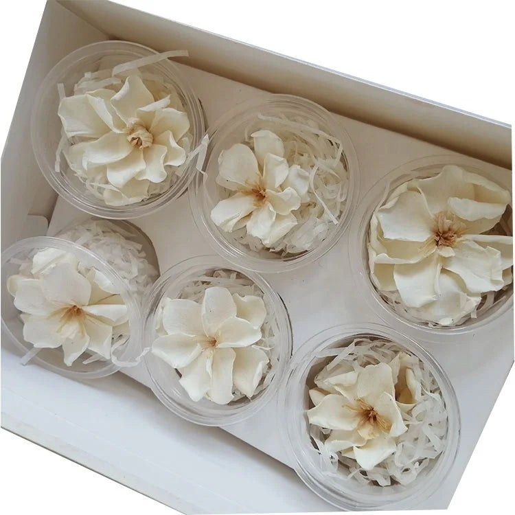 Best Selling Wholesale Preserved Flower Cape Jasmine Head Gardenia Flowers-Natural Real Touch for Graduation Mother's Day Easter MegaBDM