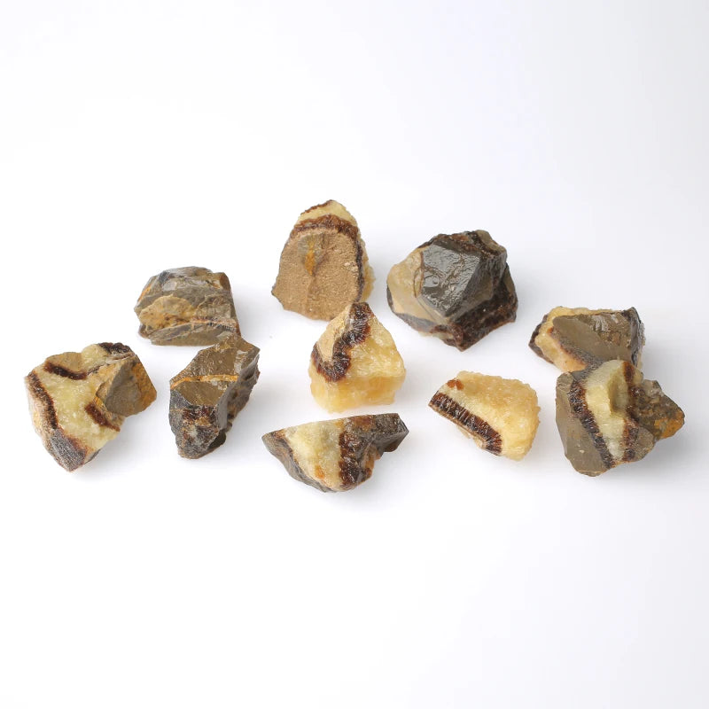 Wholesale Natural Septarium Raw Stone Crystal Healing Gemstone Septarium Rough Stone for Decoration