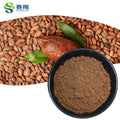 SAIYANG Supply Low Fat Alkalized Cocoa Powder Wholesale Prices Cocoa Powder Alkalized