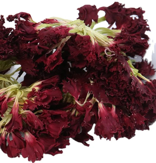 Wholesale Raw Dried Natural Dianthus Barbatus Flower Sweet William Flowers for TEA