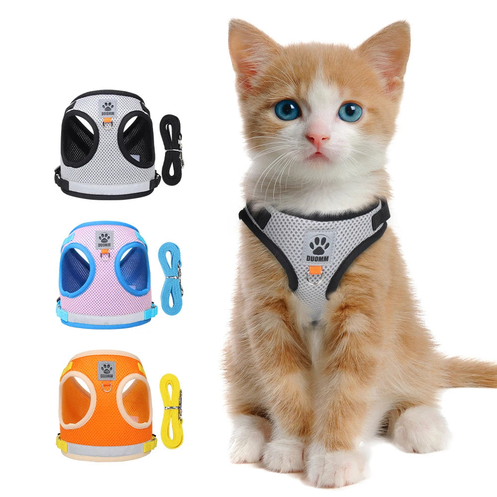 High Quality Air Mesh Cat Harnesses with Leash Adjustable Cat Designer Private Label Dog Harness